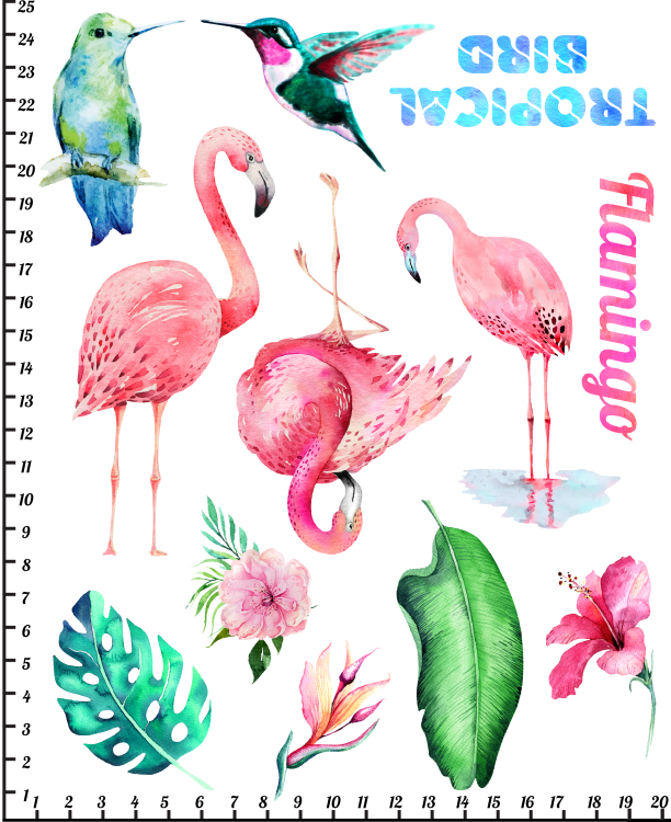 Naprasowanka flaming koliber