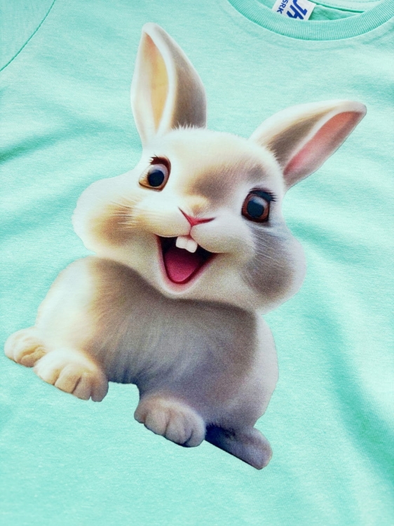 nadruk na koszulkę uśmiechnięty królik.JPG