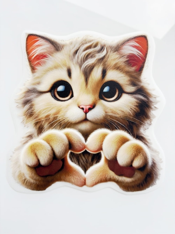 wklejka kotek z sercem.JPG