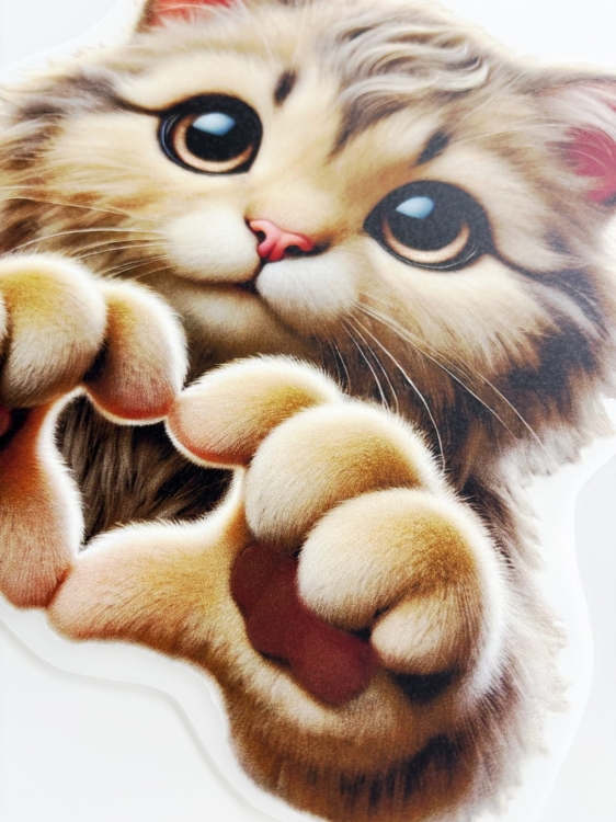 kot z sercem wklejka.JPG