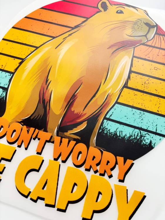 Kapibara nadruk na koszulkę.JPG