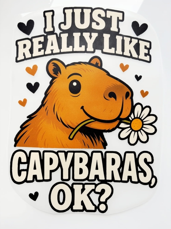 Kapibara plus kwiatek.JPG