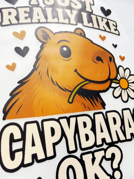 Kapibara druk.JPG