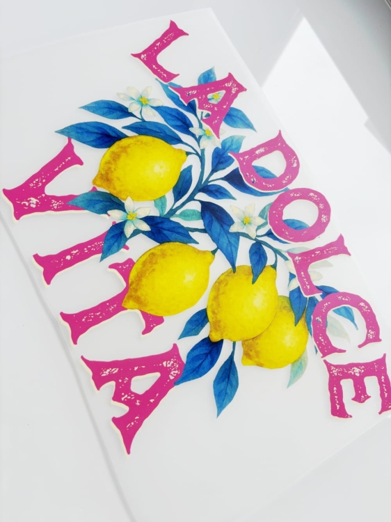 la dolce vita nadruk.JPG