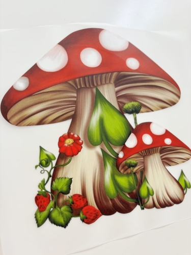 Muchomory nadruk.JPG