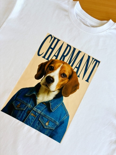koszulka charmant.JPG