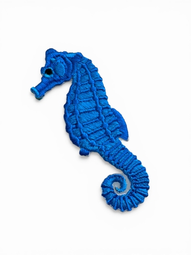 haftownay konik morski.jpg