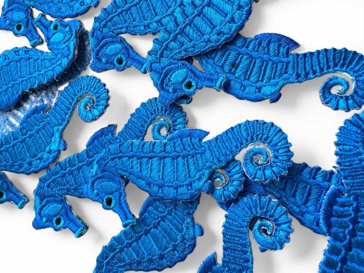 konik morski naszywka .jpg