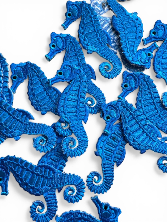 konik morski niebieski.jpg